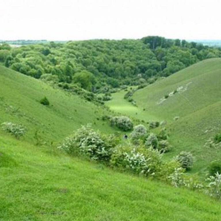 Window Cleaning Barton-Le-Clay